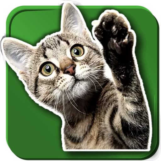 WASticker Cats