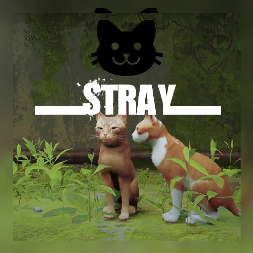 Stray Cat Guide