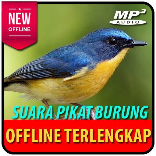 Suara Pikat Semua Jenis Burung