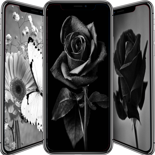 Black Flowers Wallpaper