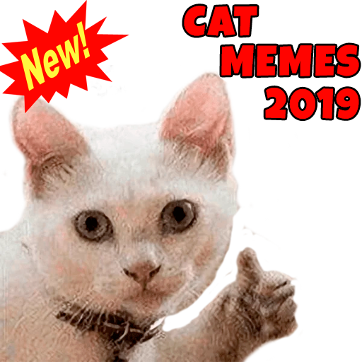 Cat Memes WASticker
