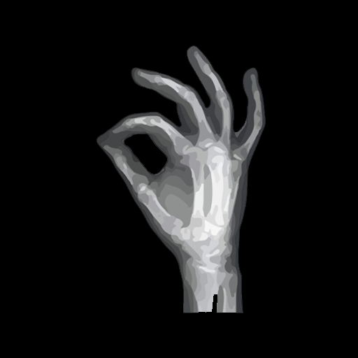 Radiology Courses