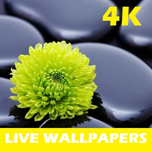 Nature Live Wallpaper 4K HD