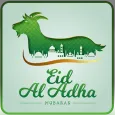 Bakra Eid  (Eid Ul Adha) : Gre