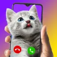 WoWCall: Fancy Screen