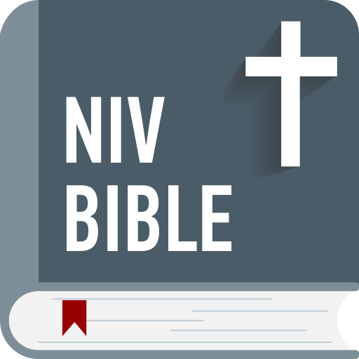 NIV Bible audio version