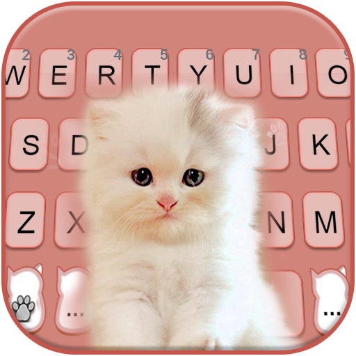 Fluffy Innocent Cat Keyboard B