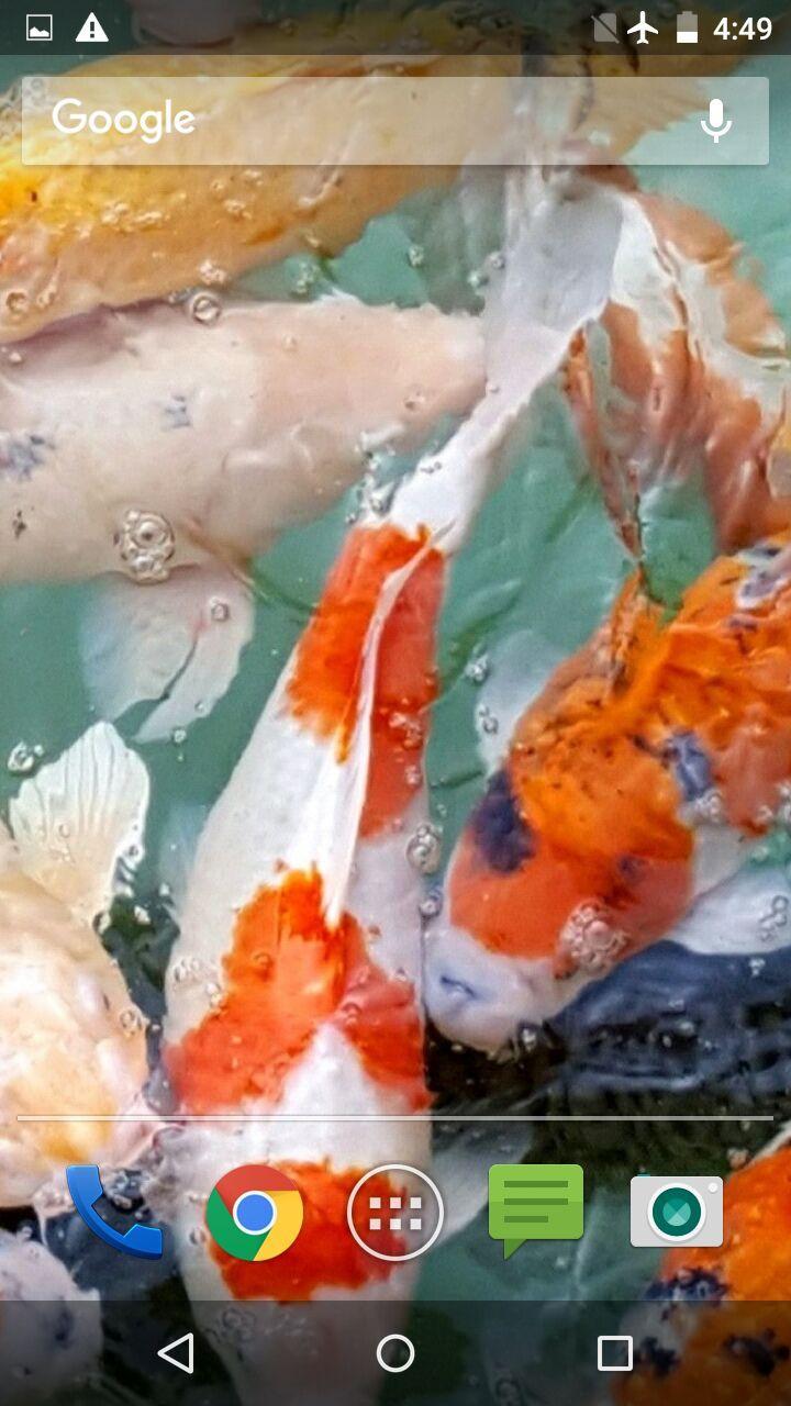 Download Water Garden Live Wallpapers android on PC