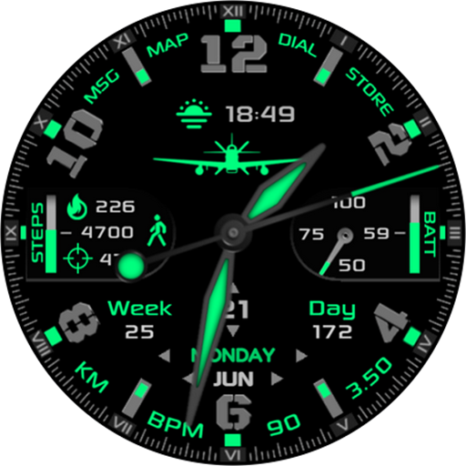 Aviator's Watchface Wear OS