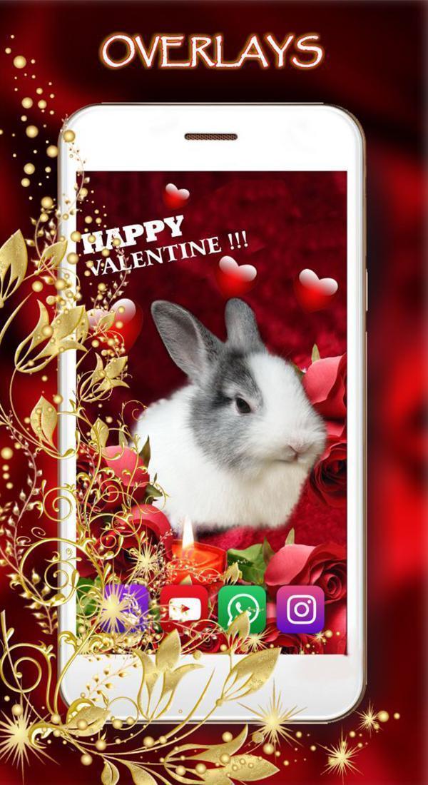 Download Valentine Bunny Live Wallpaper android on PC