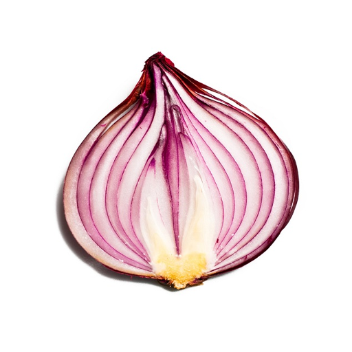 Onion Search Engine