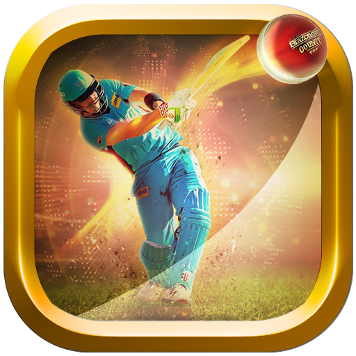 Cricket Multiplayer 2017