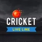 Vintage Cricket Fast Live Line