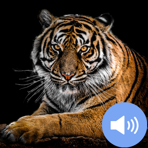 Tiger Sounds and Wallpapers