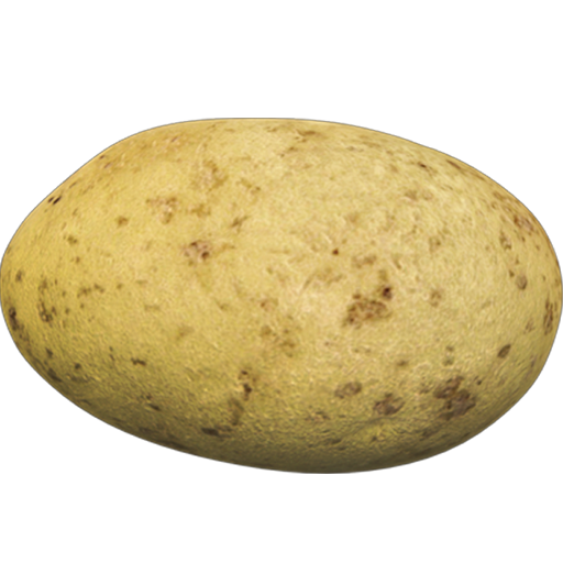 Potato 3D