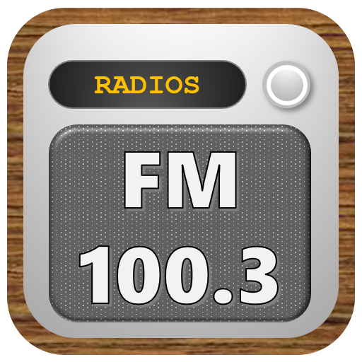 Rádio 100.3 FM