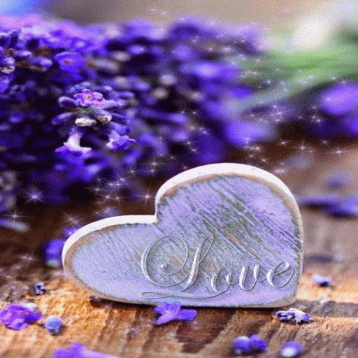 在電腦上下載Purple Flowers Heart LWP | GameLoop官方網站