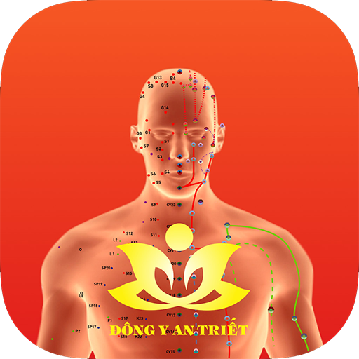 Huyệt vị Kinh Mạch