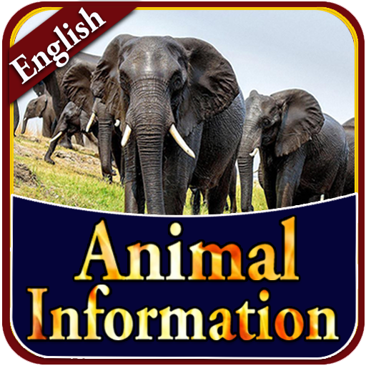 Animal Information in English