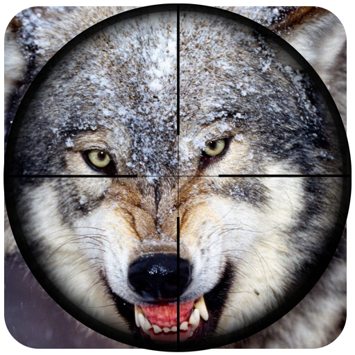 sói săn bắn: bắn tỉa