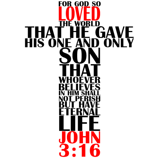 Bible Salvation Jn316