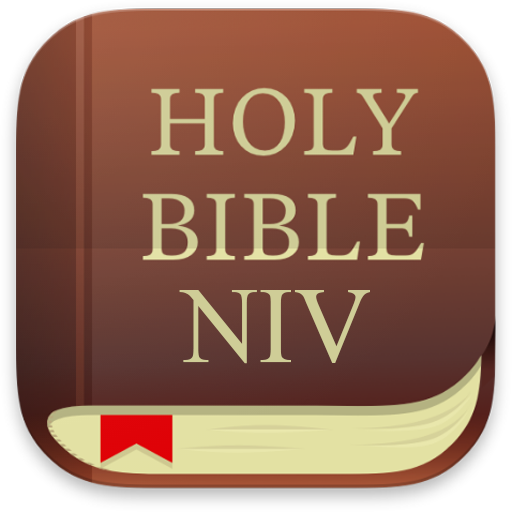 Bible NIV 1984