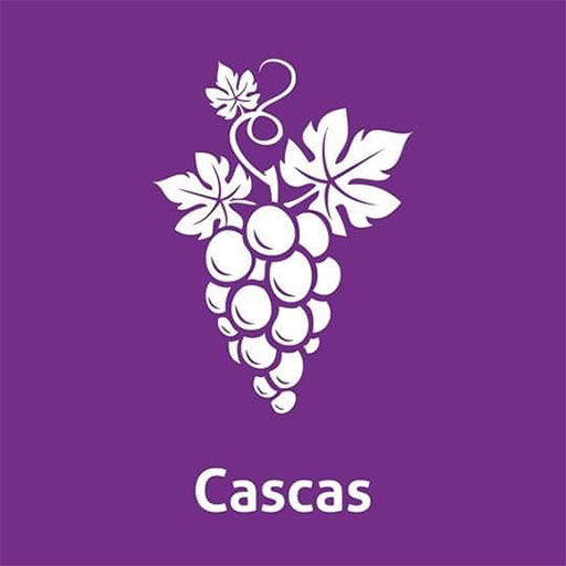 Download Conoce Cascas android on PC