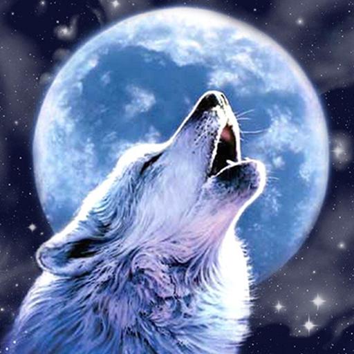 Wolf Wallpapers 3D HD 4K
