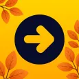 ONAY! Общественный транспорт