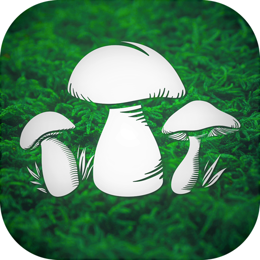 Реальный Грибник - Тихая охота