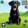Game Anjing Simulator Anjing