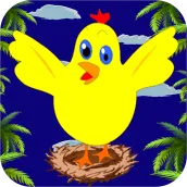 Chicken Games