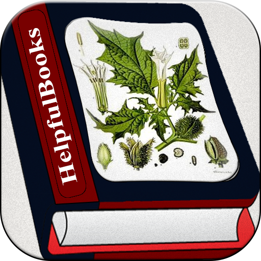 Herbal medicines plant