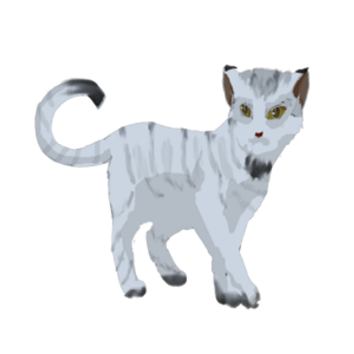 Cat Customization Tool