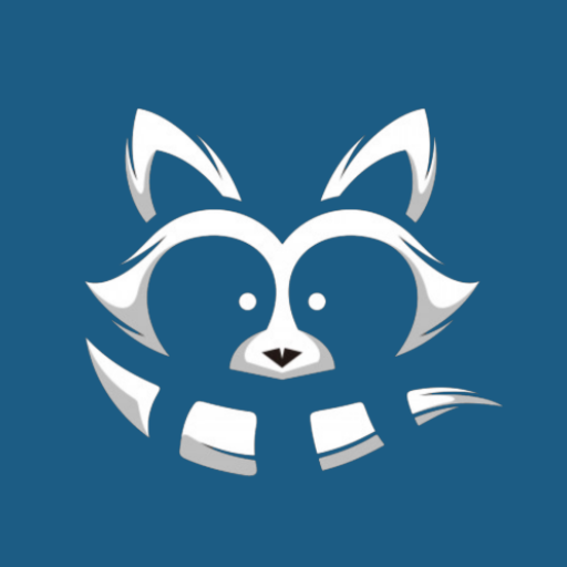 Raccoon — очистка ВК