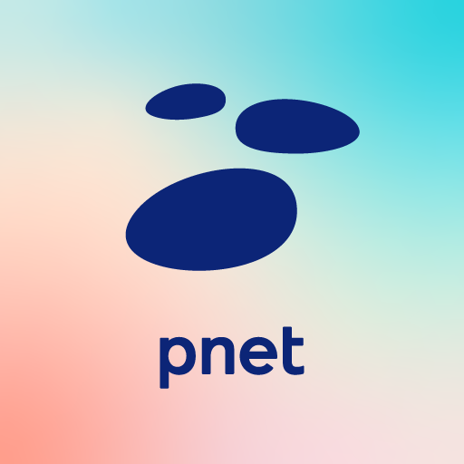 Pnet - Job Search App in SA
