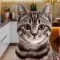 Cat Simulator Family: Cute Stray Kitten Life