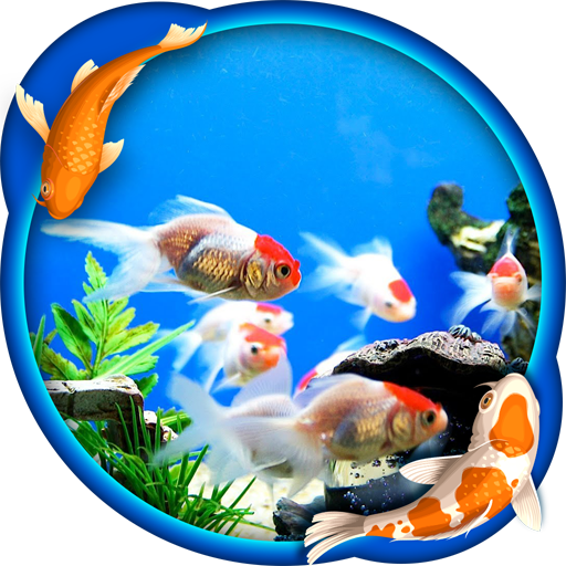 Aquarium Live Wallpaper