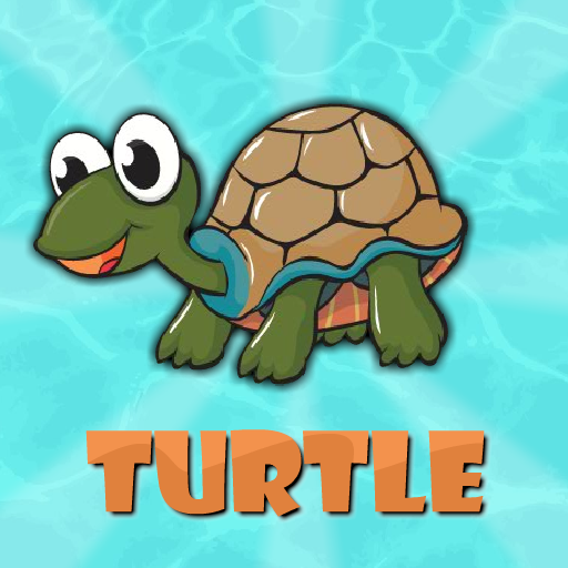 Funny Turtle Rescue
