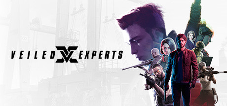VEILED EXPERTS