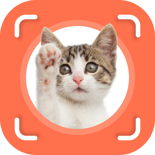 Cat Identifier - Cat Scanner