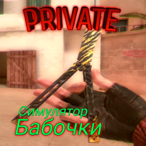 SO2 Butterfly Knife Simulator Private Standoff 2