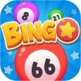 Bingo - Offline Leisure Games