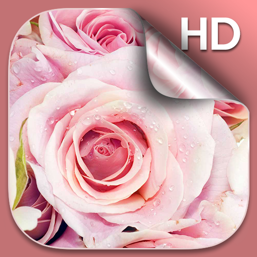 Pink Roses Live Wallpaper