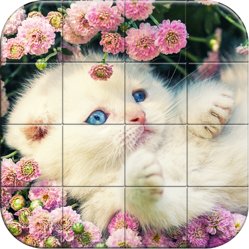 Tile Puzzle Cats