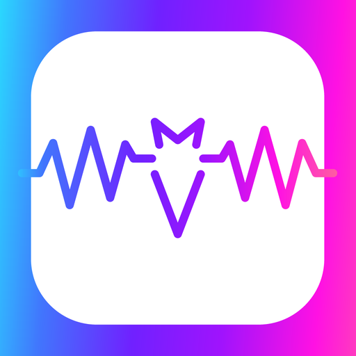 BizBat: The Music Network