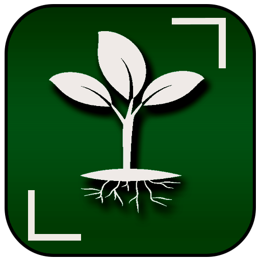 Plant Identifier Finder Camera