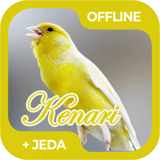 Masteran Burung Kenari Offline