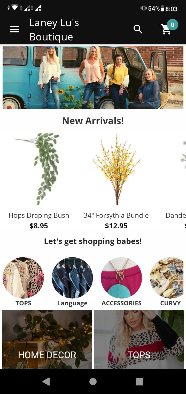 Download Laney Lu's Boutique android on PC