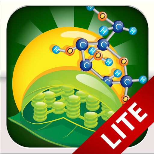 Biology Photosynthesis